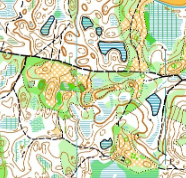 Detailed terrain view
