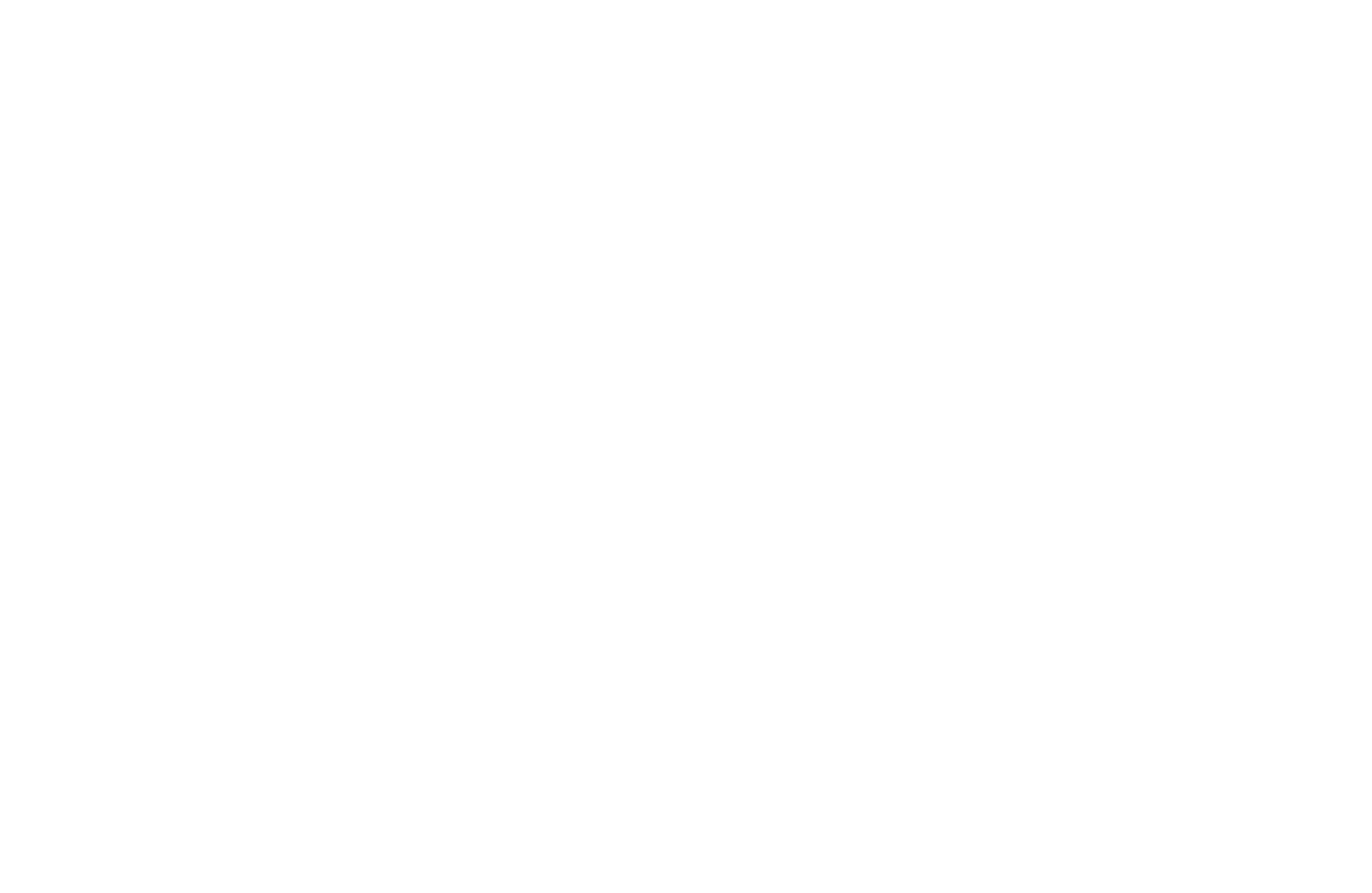 MEDIA PARTNER logo