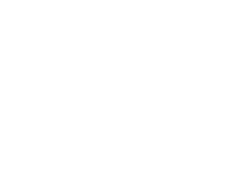 INSTITUTIONAL PARTNERS logo