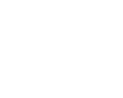 INSTITUTIONAL PARTNERS logo